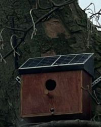 Solar Vogelhaus Node